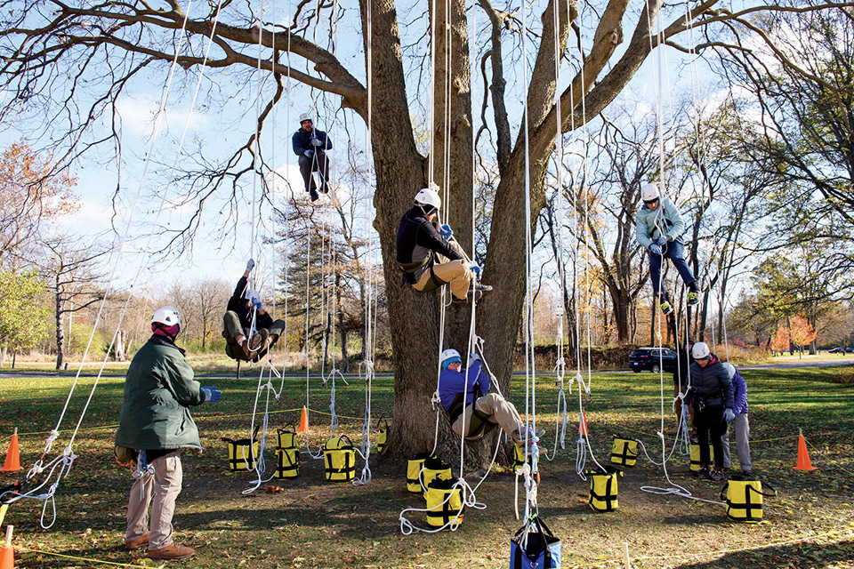 A group tries their hand at tree climbing at Metroparks Toledo A group tries their hand at tree climbing at Metroparks Toledo